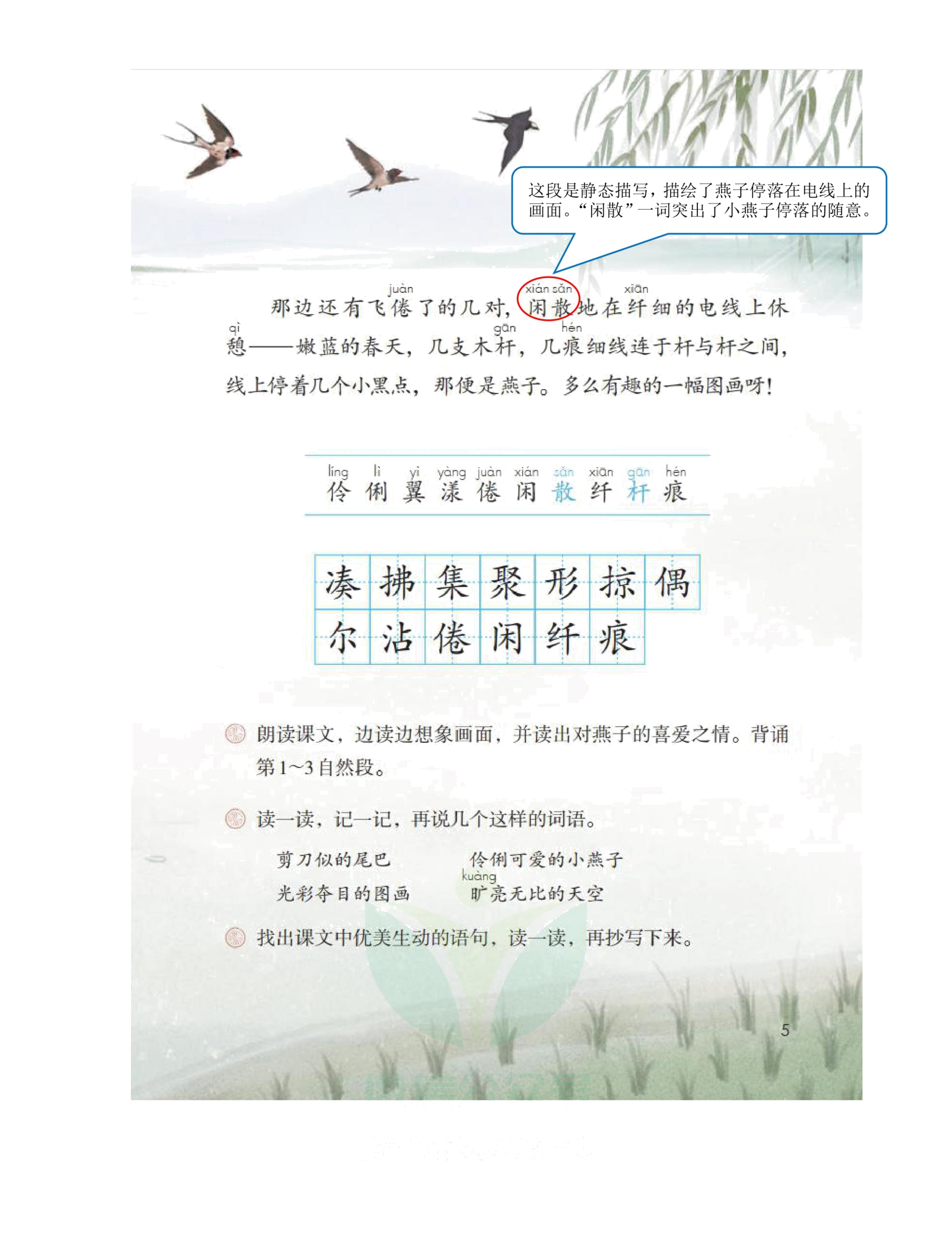 三年级语文下人教版第一单元笔记,三年级语文下册笔记完整版三单元