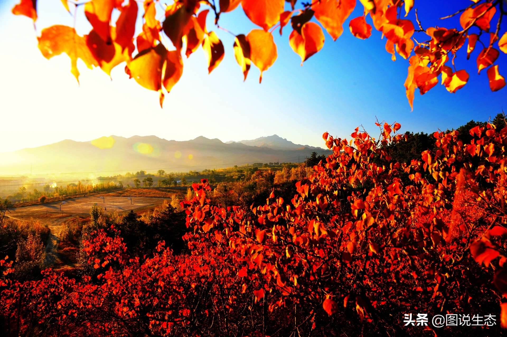 20年风雨治沙路，绿水青山秀丰宁