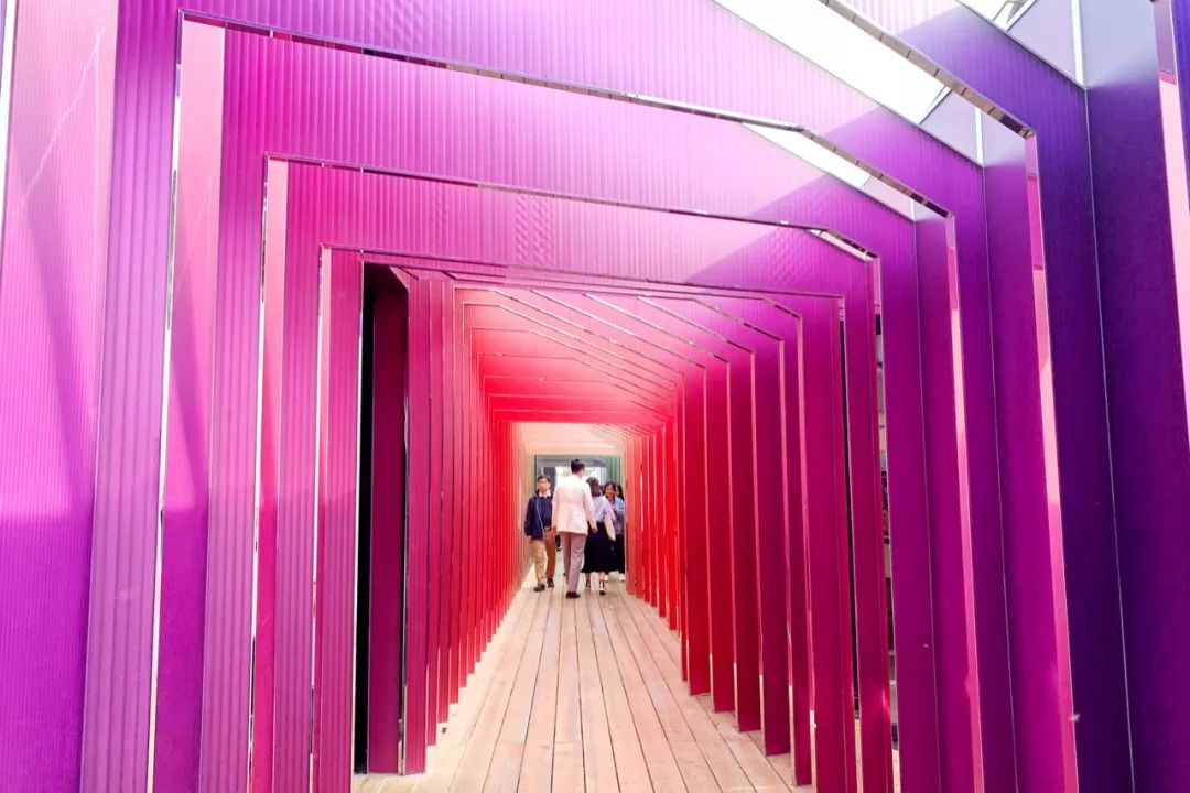 4月的日记,4月观察日记