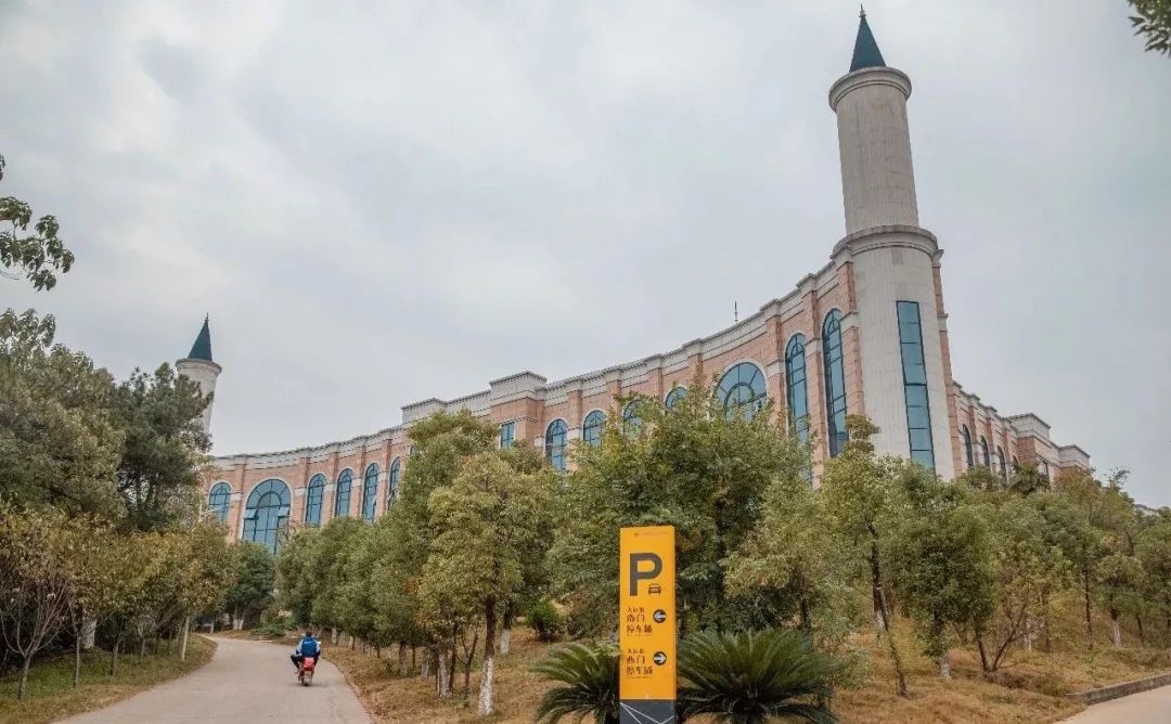 婀栧崡闀挎矙姘戞斂瀛﹂櫌,闀挎矙姘戞斂鑹烘湳瀛﹂櫌