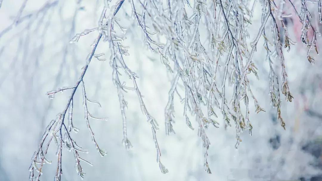 贵阳云雾山云海,贵阳云雾山雾凇旅游攻略