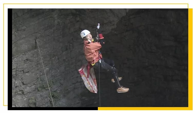 村花撒贝宁：我，43岁，*戏调**马云，芳心纵火犯