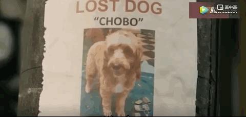 谢谢你治好了我的心脏,谢谢你治好了我的低血压