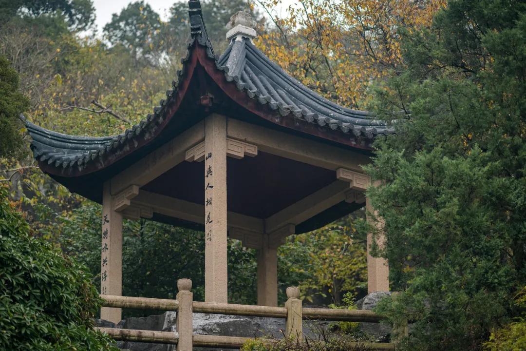 苏州西山农家乐旅游网官网,苏州西山农家乐民宿游