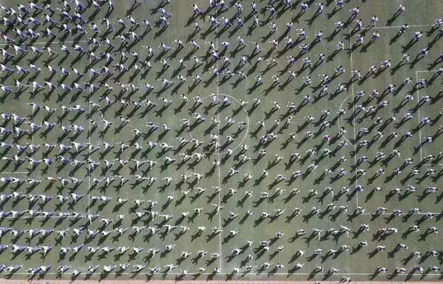 厉害啦！校长领舞，天津这所小学课间操火了！~落户天津落户联盟