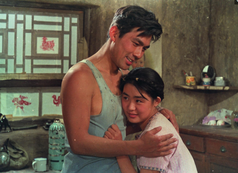 电影牧马人丛珊现状,牧马人的女主角丛珊去哪了