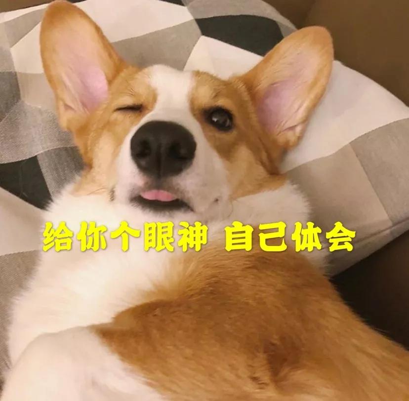 零元购的骗局,零元购是不是骗局