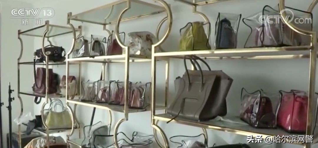 蚂蚁搬家被罚案例,蚂蚁搬家盗窃案最新结果