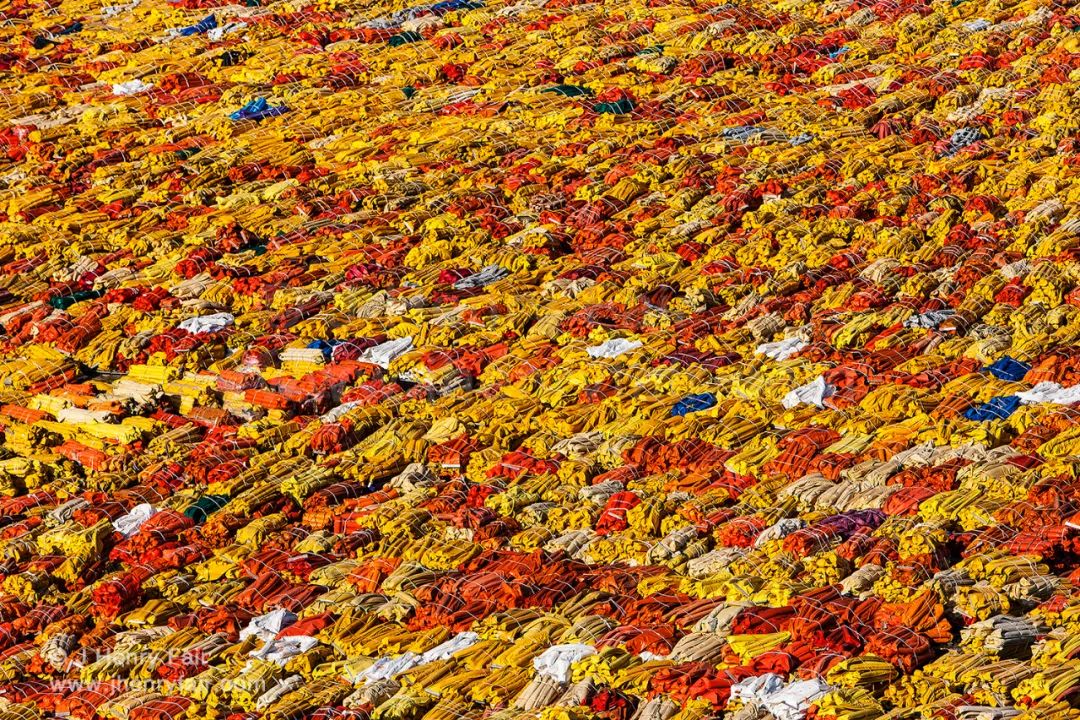 全球变暖导致不利影响照片,全球变暖后的真实视频