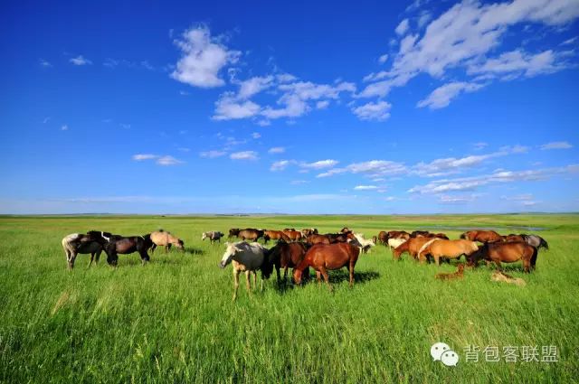 呼伦贝尔旅游攻略3天自由行,呼伦贝尔旅游攻略3天2晚