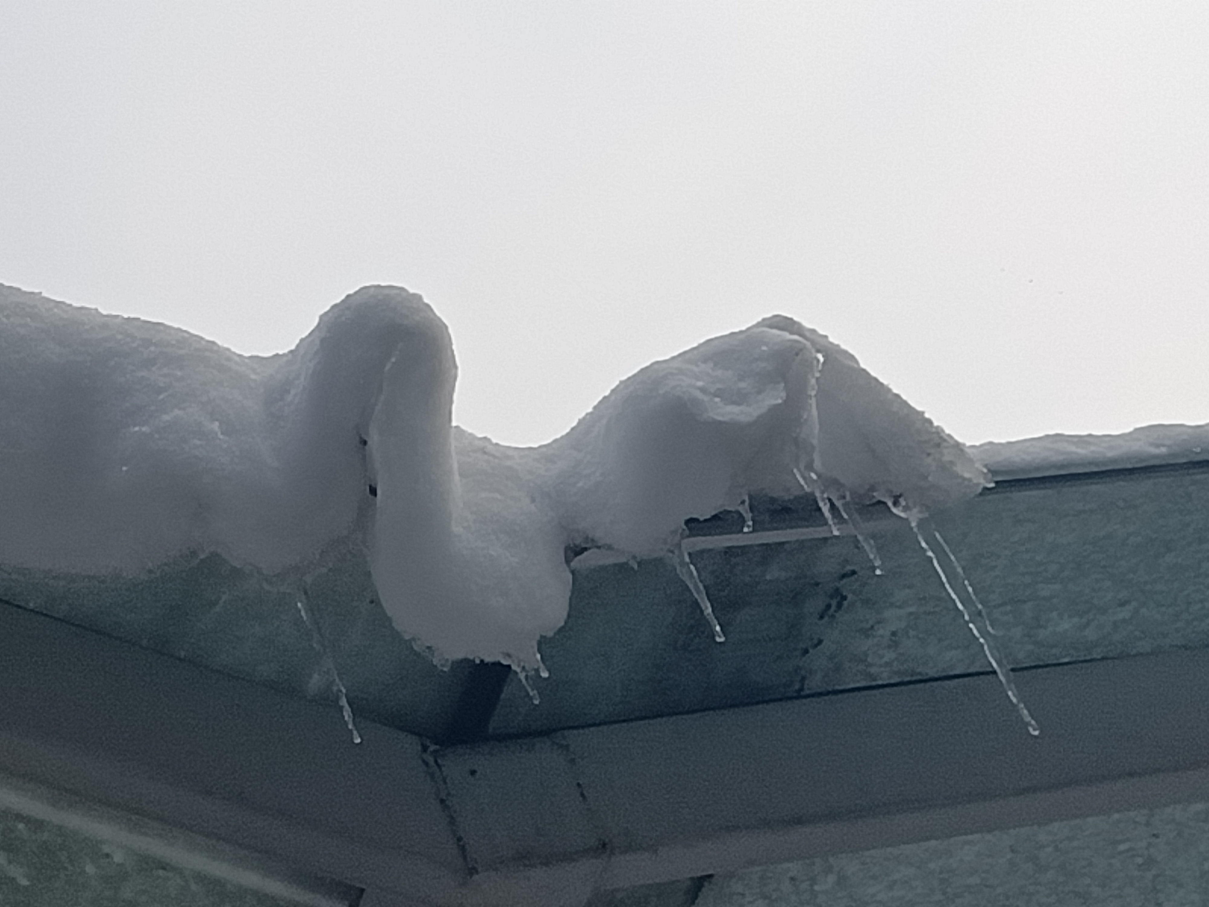 拜道青城山和问道青城山,青城山风景问道