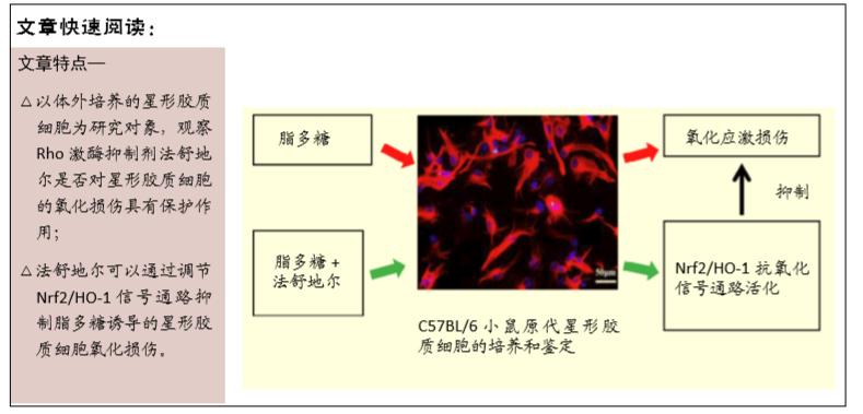 法舒地尔的副作用及治疗作用,法舒地尔的作用与功效