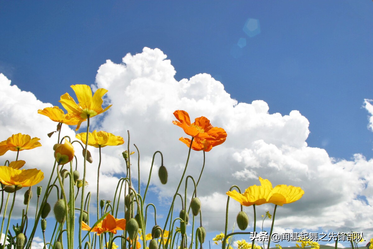 年轻人要不要买好医保,年轻人要不要买重疾险