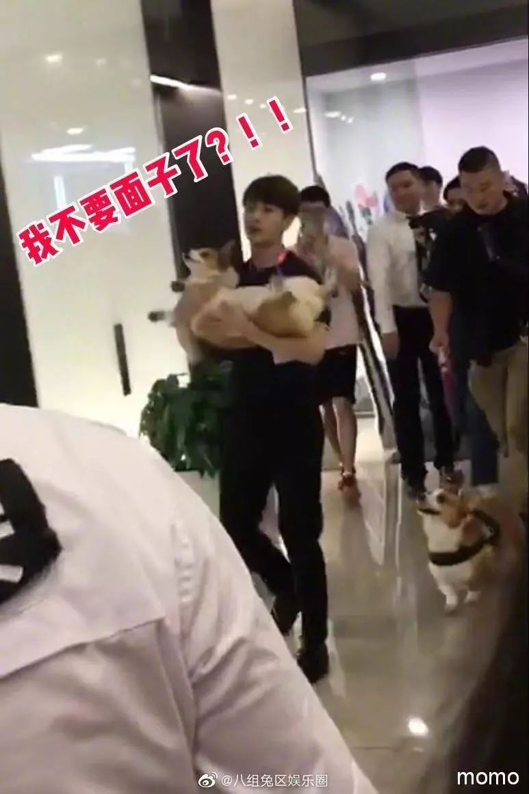 在哔哩哔哩上班的条件,在哔哩哔哩工作