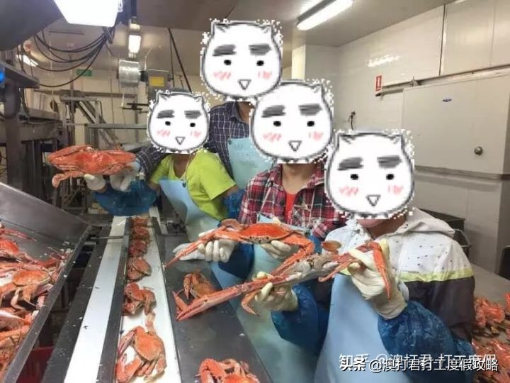 十大最累最赚钱的工作,哪些比较赚钱的工作可以在家做