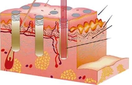 护肤界有名的难缠小妖精，现在搞定它