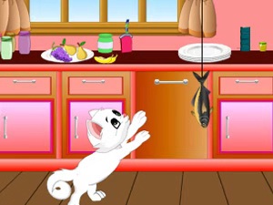 现在的猫咪不吃老鼠的吗,喵星人是不是普遍懒