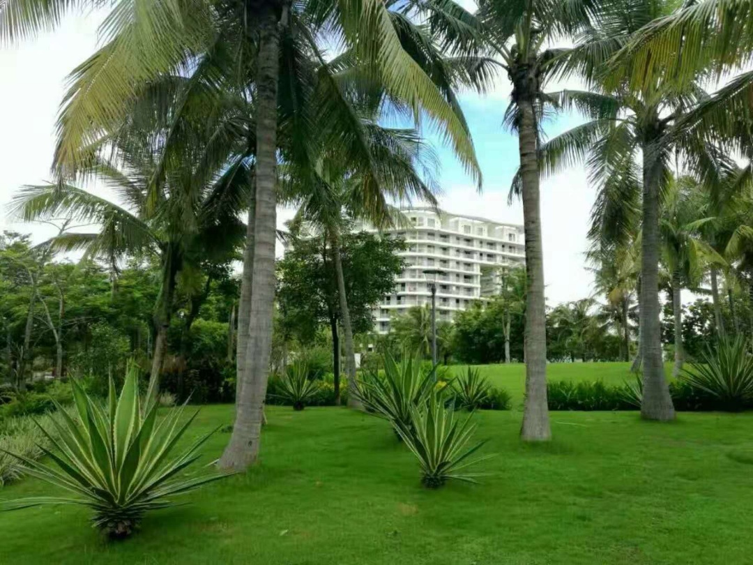 三亚清水湾别墅二手房最新出售,三亚清水湾精装别墅价格一览表