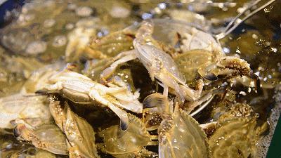 双十一民宿打折吗,双11秒杀民宿