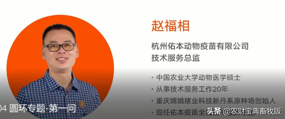 蓝耳病的控制和净化方法,蓝耳病猪最快治疗方法