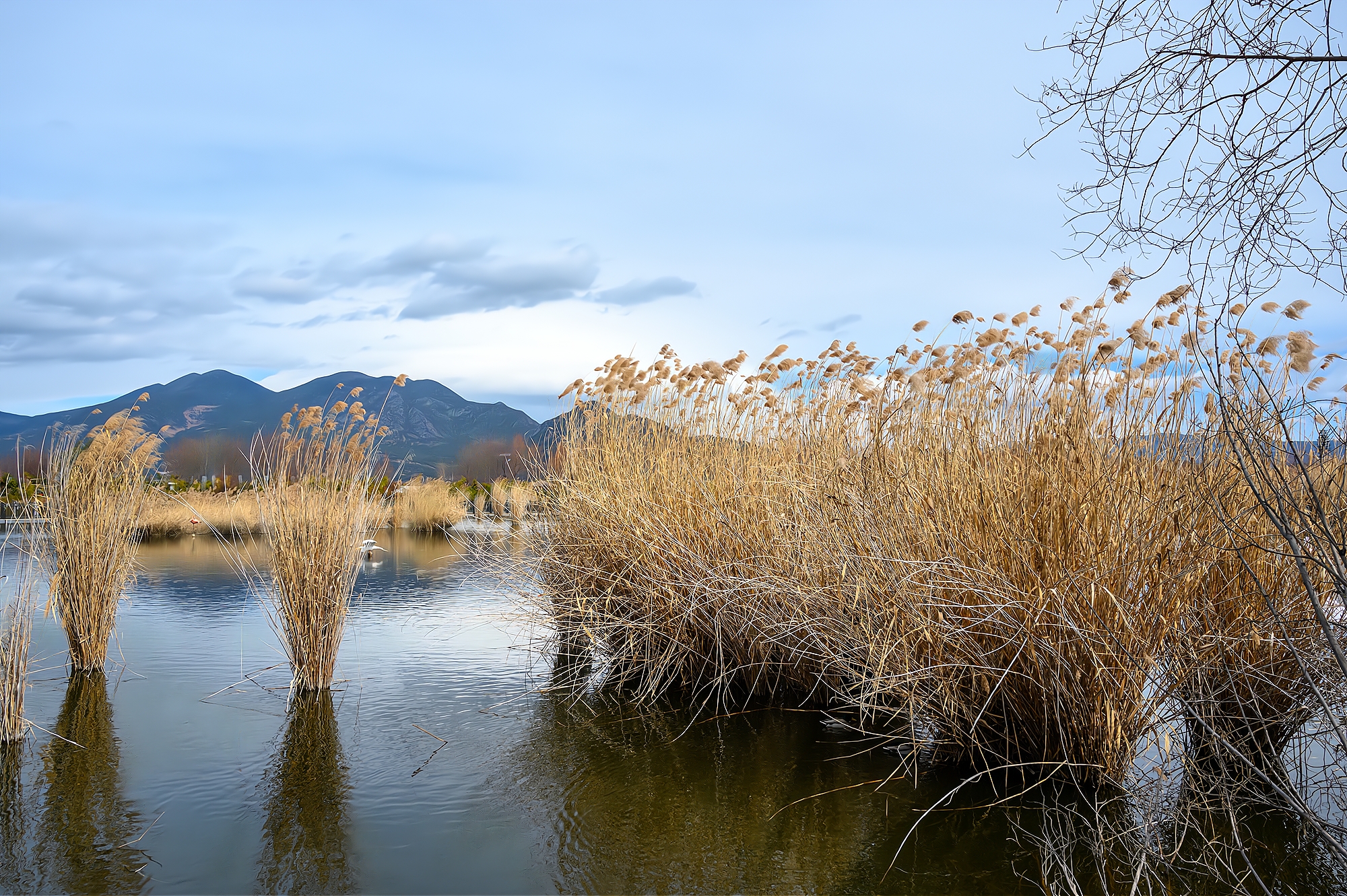 丽江拉市海自然美景,丽江拉市海湿地公园景区