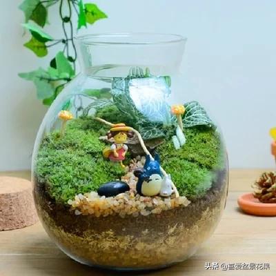 微景观生态瓶教程,微景观生态瓶怎么固定