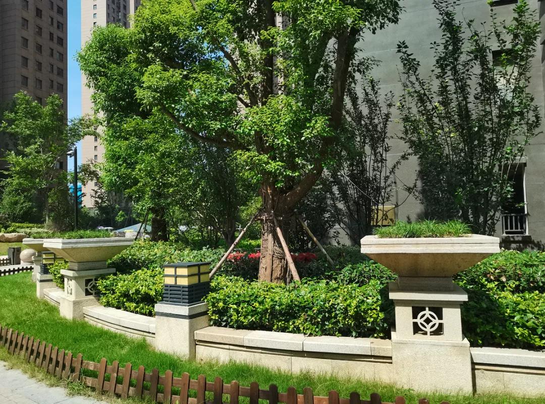 震撼阜阳这些小区房价曝光,阜阳十大楼盘降价