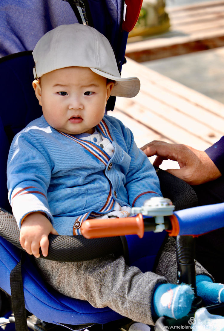 金色童年8张图片,金色的童年相片