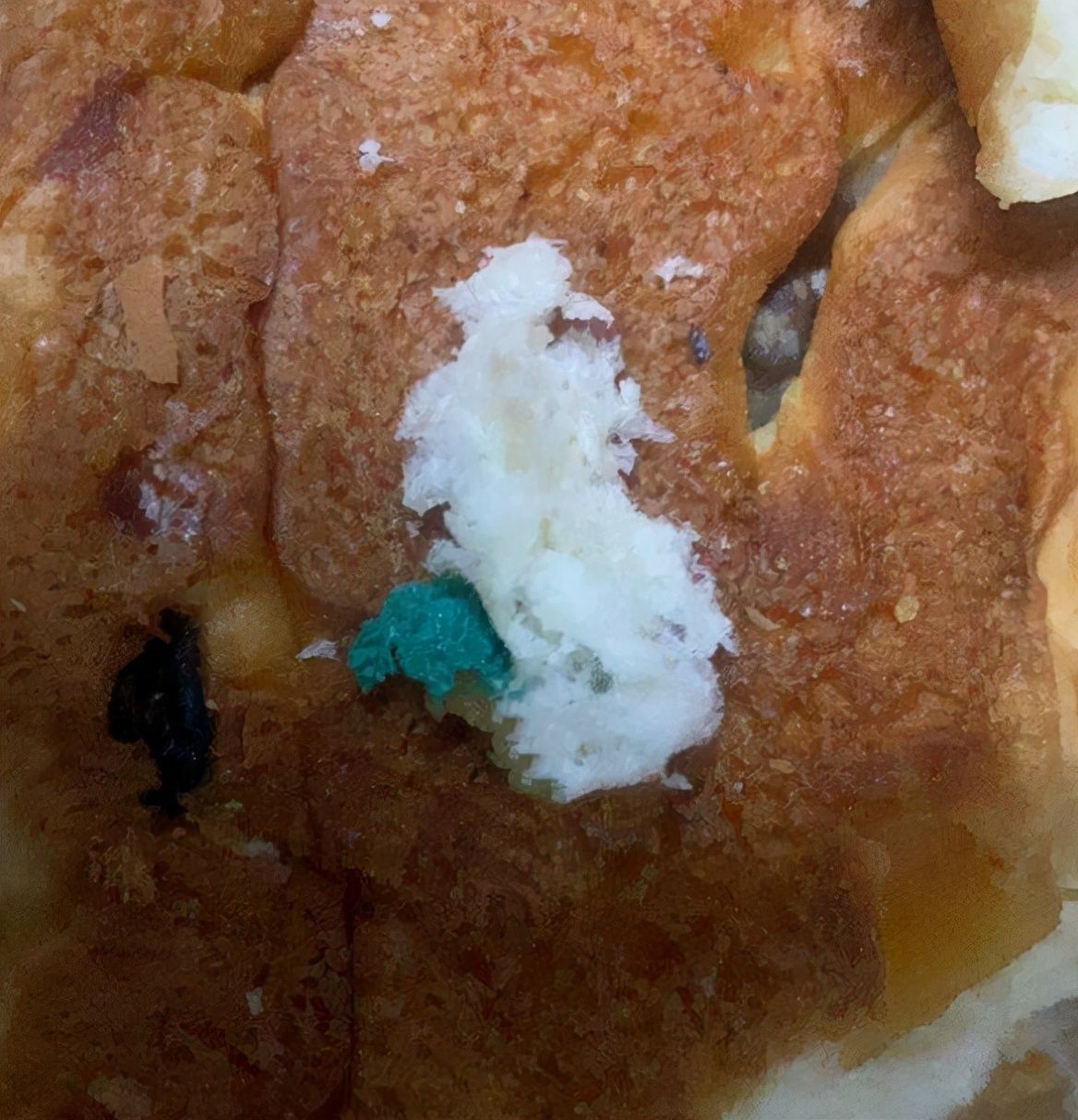 身陷“减持”风波，质量被多次爆出问题的桃李，如何突破重围？