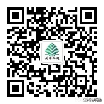 新城教育，别具风采——再探万福新城“不一样的”学校