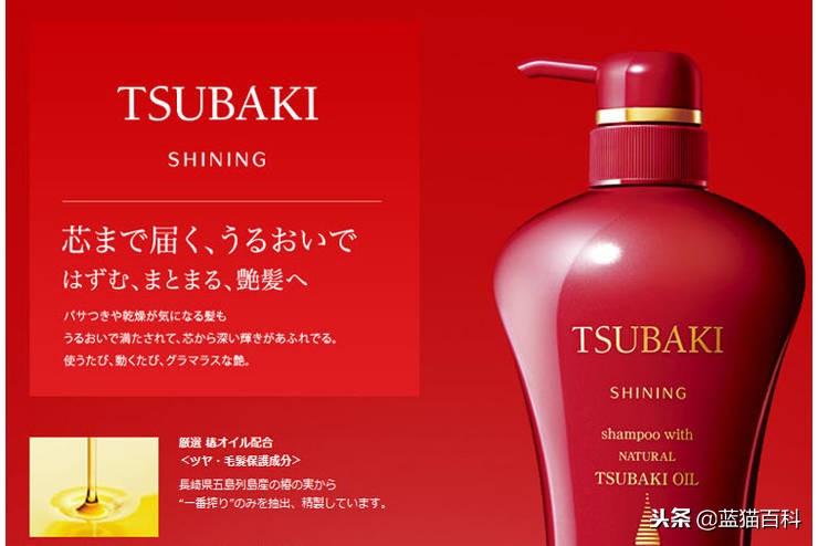 8款防脱发洗发水你知道几个,8大网红洗发水测评