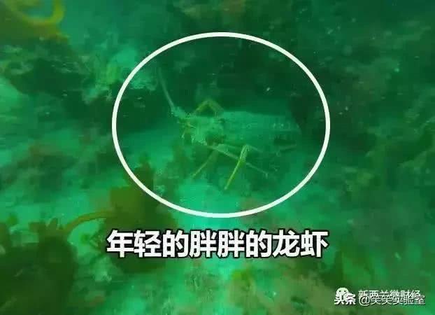 黑帮里面的钱和武器,黑帮用的东西是什么