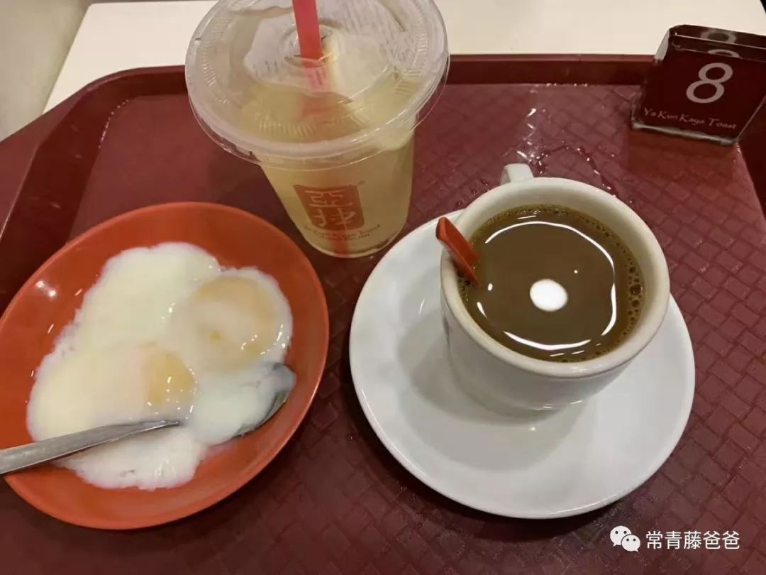 十一新加坡,十一游学新加坡