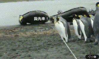 珍藏很久的40张趣图看完都笑疯了,逗趣图片