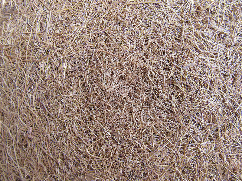 天然椰棕床垫能洗吗,什么的椰棕做床垫比较好