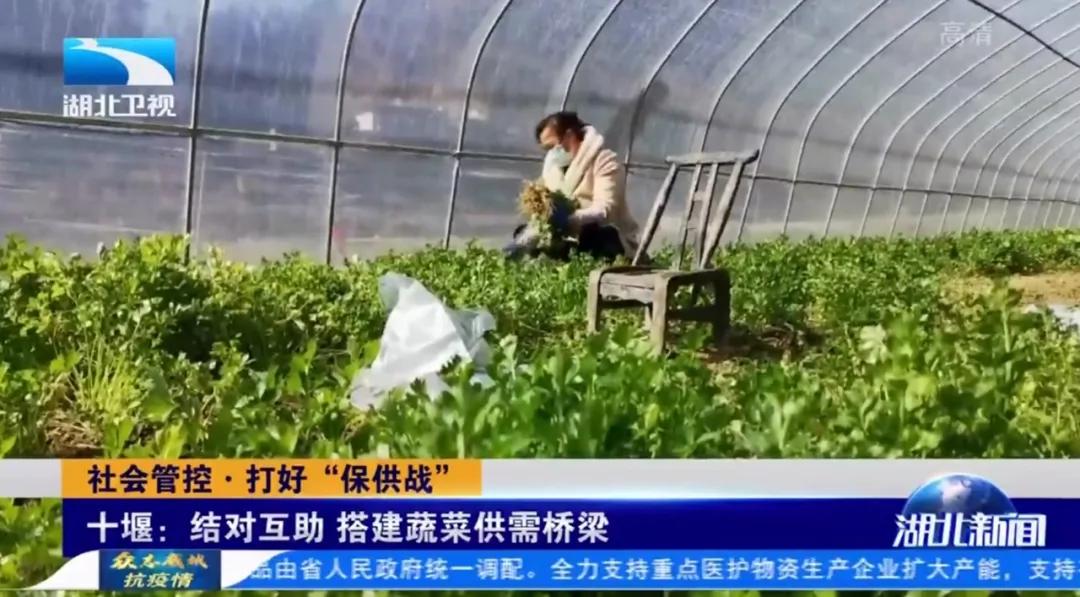 疫情之下保障农产品供应,湖北疫情防控物资自给能力