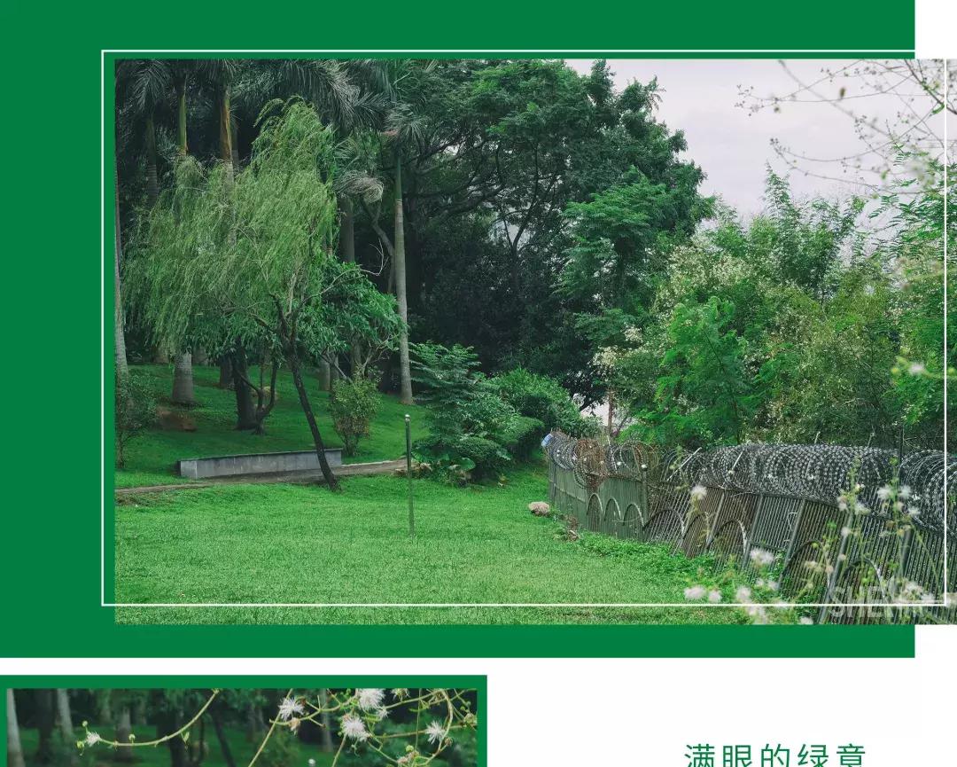 深圳市美美美,深圳最美免费水库