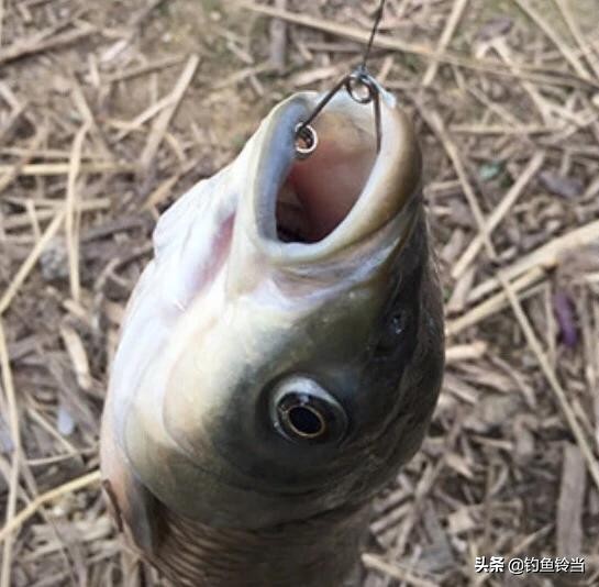 传统钓制作视频教程,传统钓制作