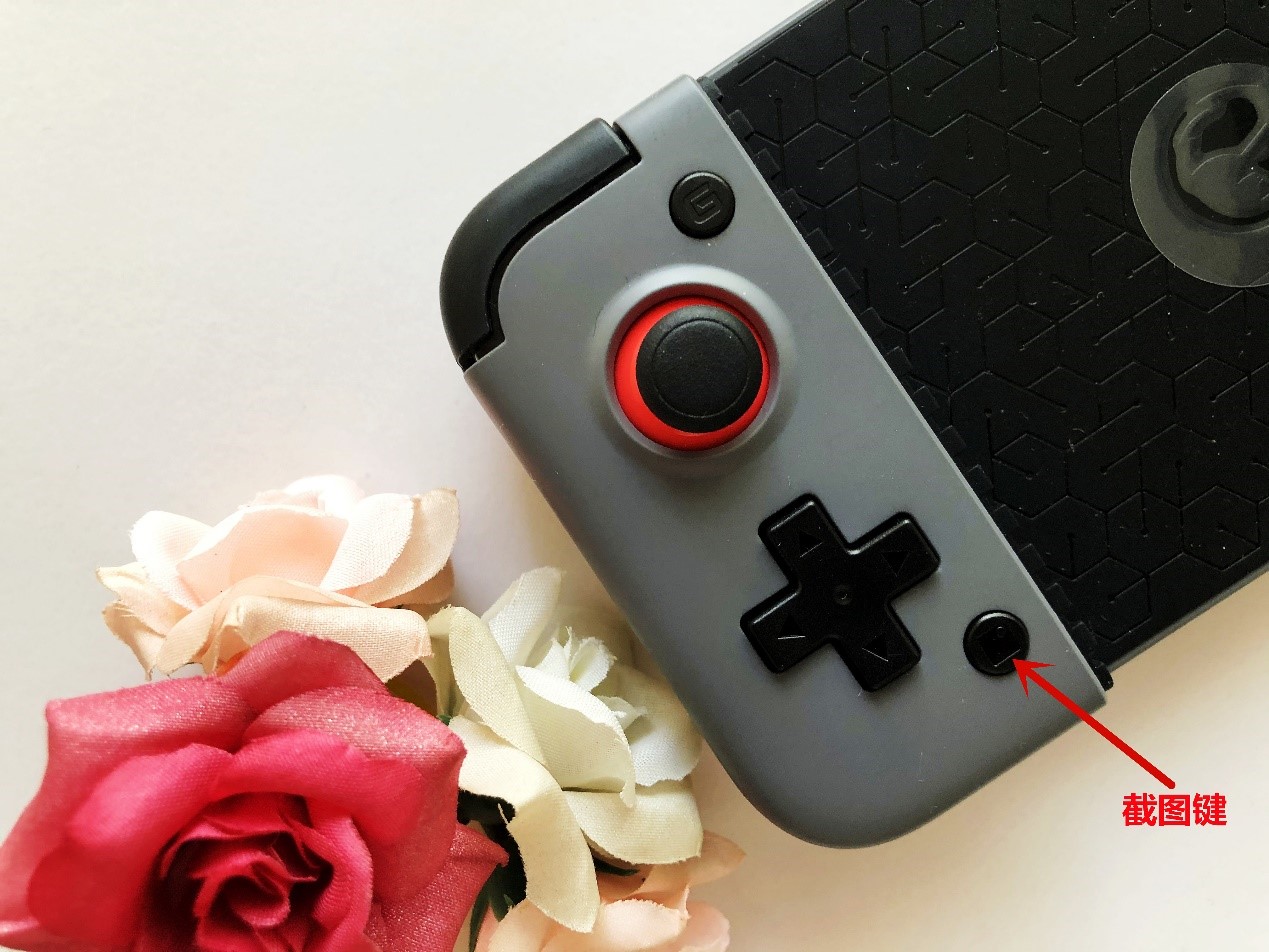 盖世小鸡x2s手柄测评,盖世小鸡x2和雷蛇骑仕手柄