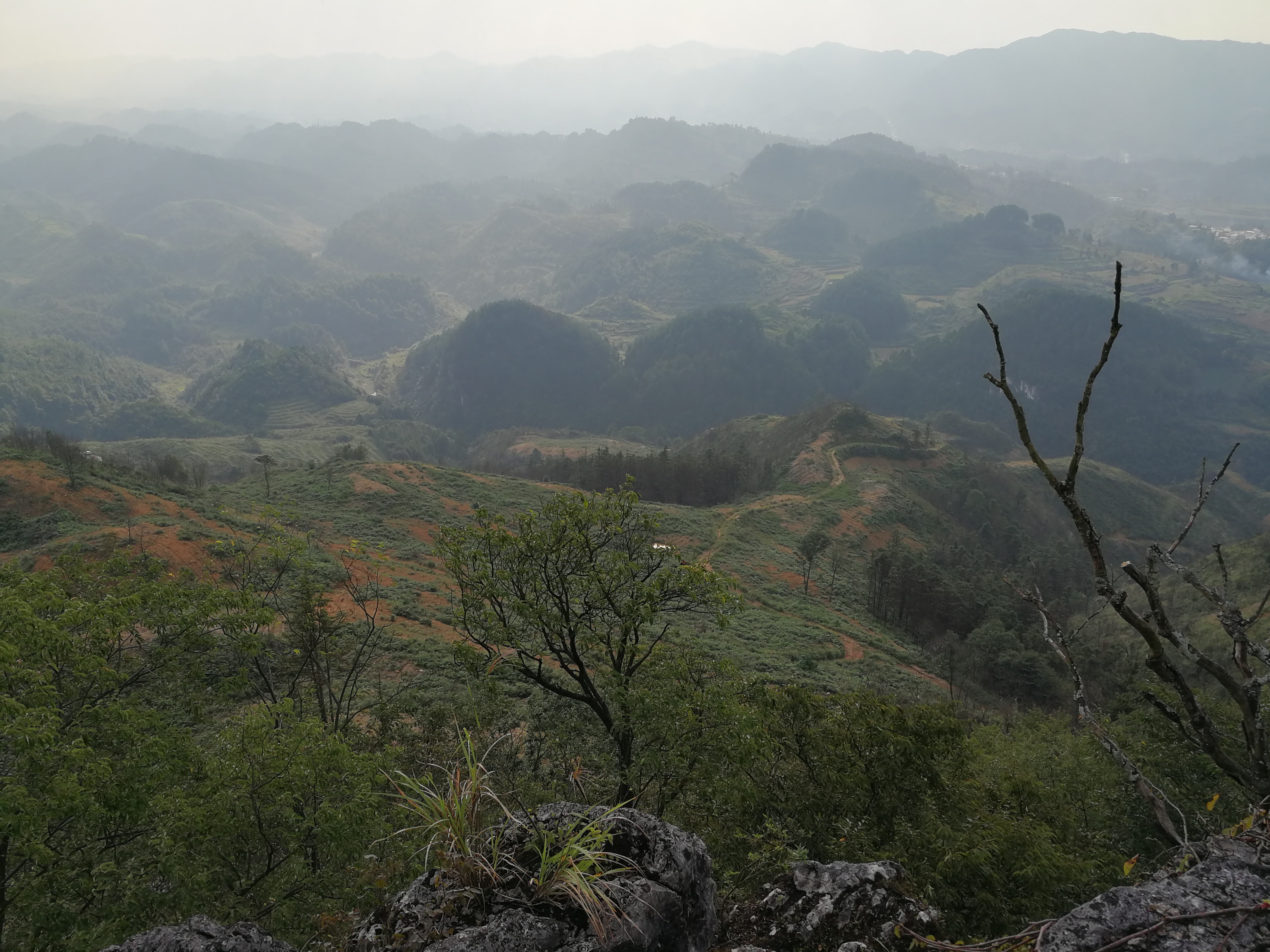 欠款5万又遇到疫情怎么办,欠了几十万外债压力大焦虑怎么办