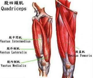跳绳膝盖疼用什么方法缓解,刚开始跳绳膝盖疼还要坚持跳绳吗