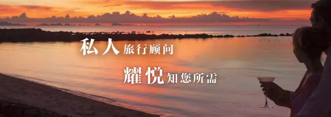 中青旅全球行,中青旅用心陪着你