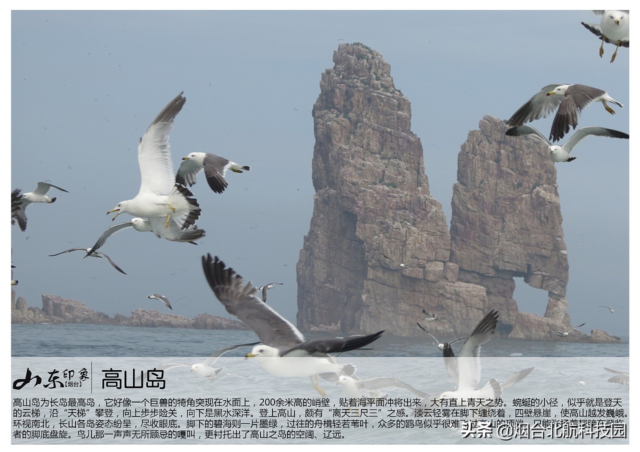 烟台游玩十大必去景点,烟台最坑人的三个景点