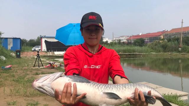 黑坑“肥水”鱼难钓，如何调整？因地制宜分析原因，即可有效避免