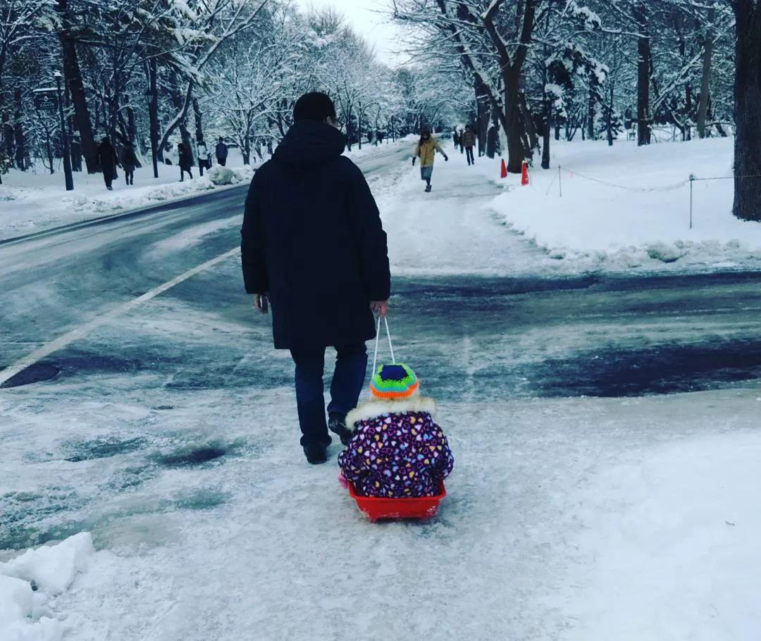 北海道的雪有多美,北海道到底有多吸引人