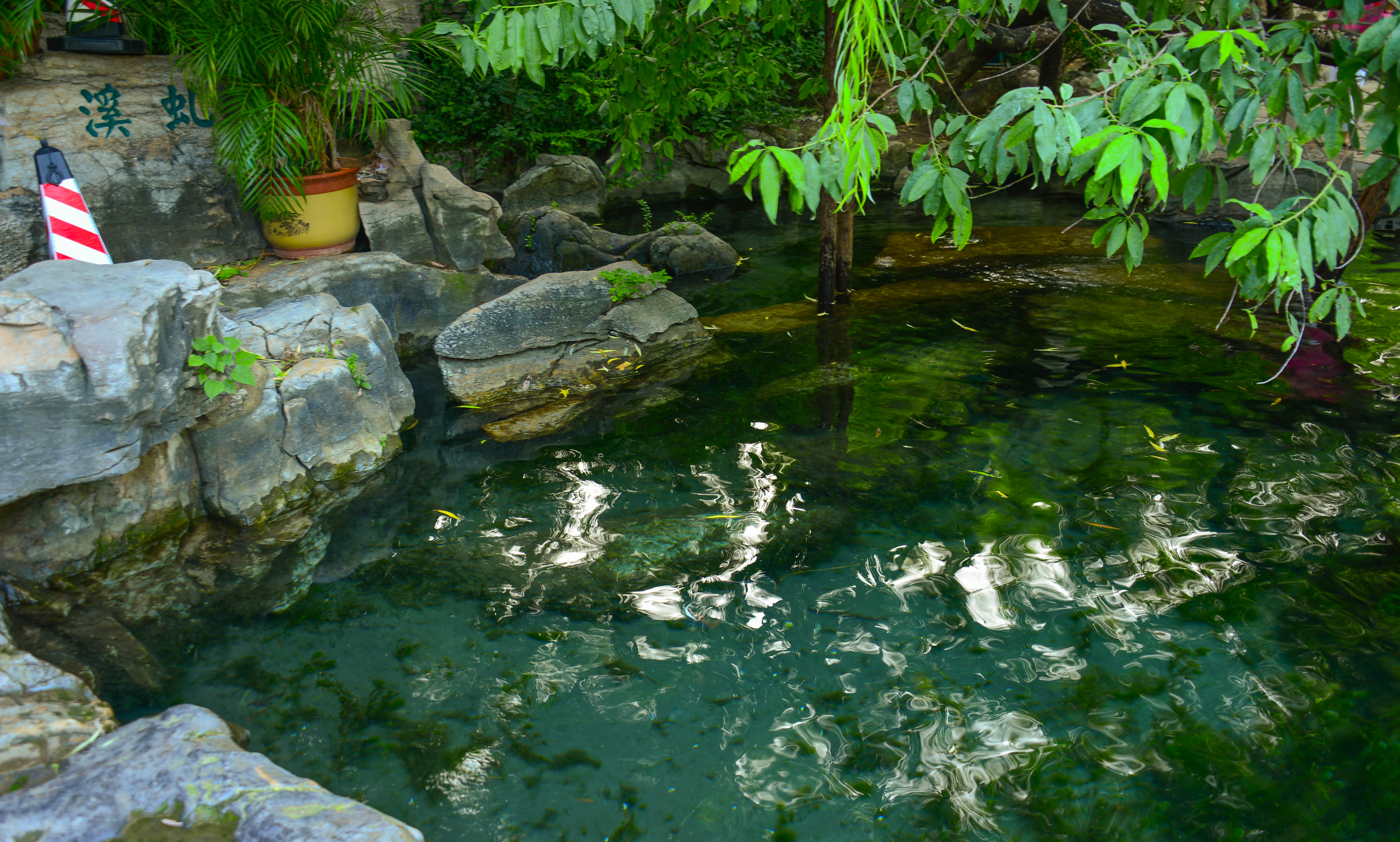 济南七十二名泉之水帘泉,济南七十二名泉之晓露泉在哪里