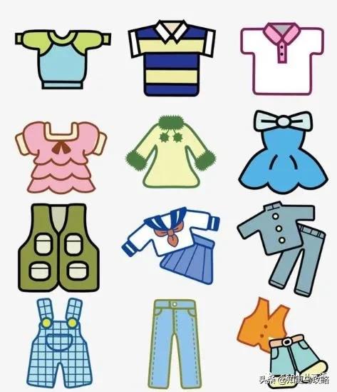 英语干货知识点小学,干货小学英语单词