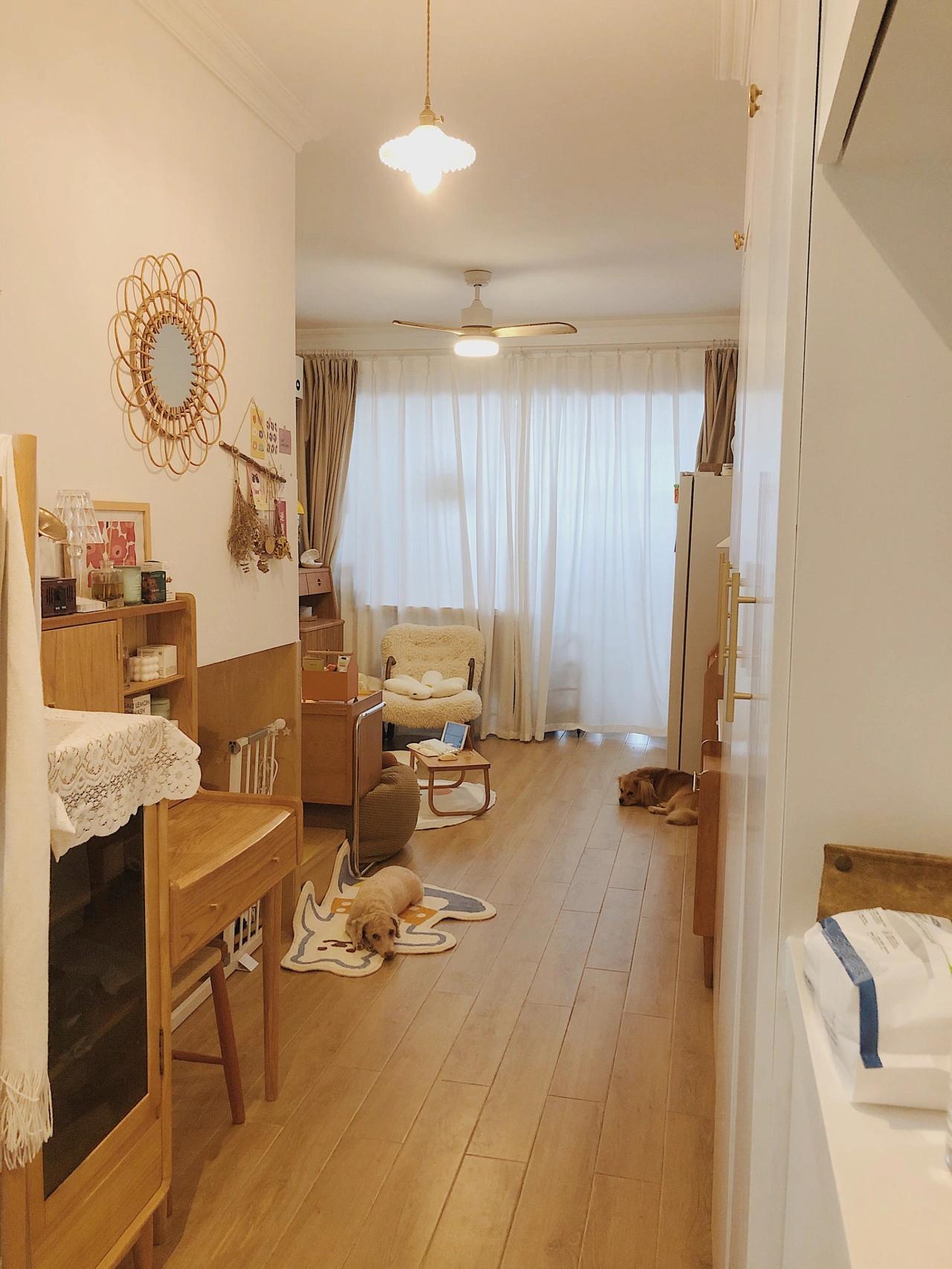 看完她的家，我才知道独居生活有多美好