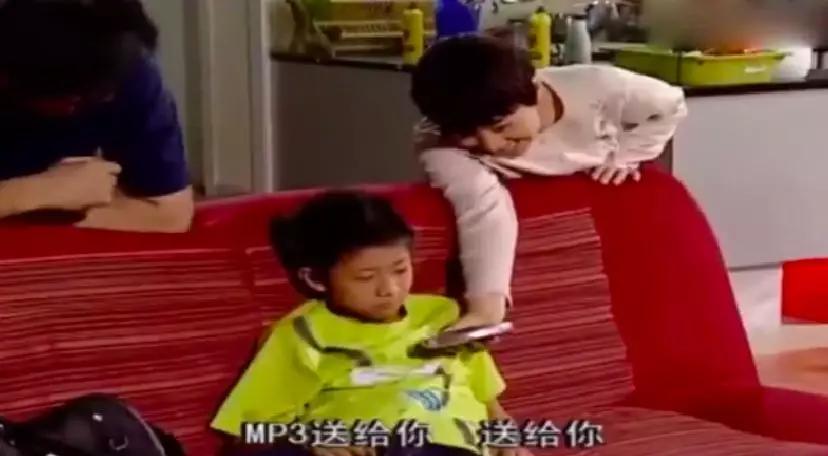 家有儿女刘星家到底是多有钱,家有儿女刘星家究竟多有钱