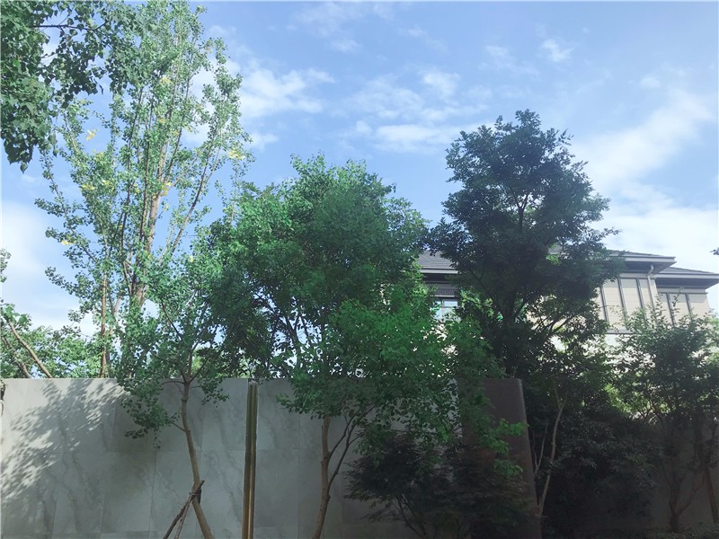 当代铭山筑：容积率仅0.55的城心别墅还有“阳光地下室”